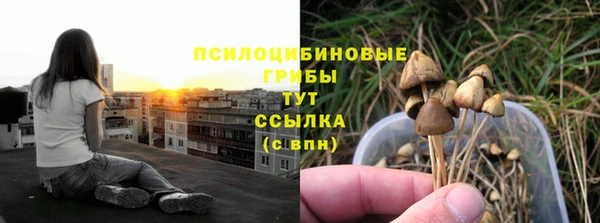 таблы Бородино