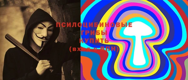 сатива Бугульма