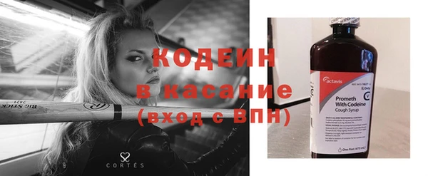 таблы Бородино