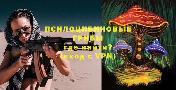 таблы Бородино