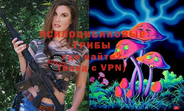 таблы Бородино