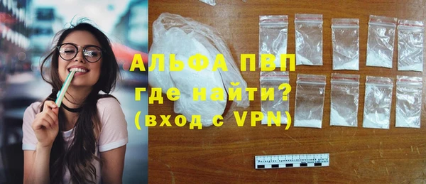 таблы Бородино