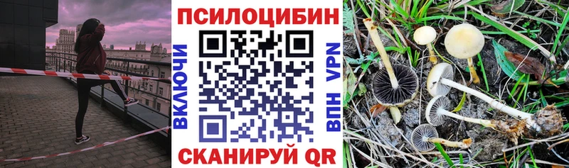 Псилоцибиновые грибы мухоморы  купить наркотик  hydra ссылка  Гороховец 